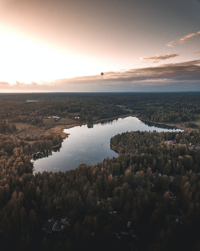Vy av sjö och skog