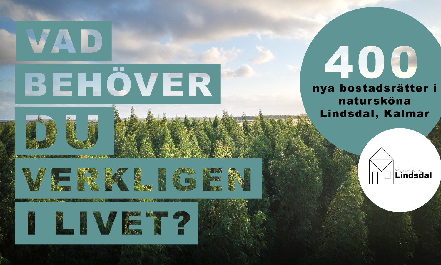 Vad behöver du verkligen i livet?