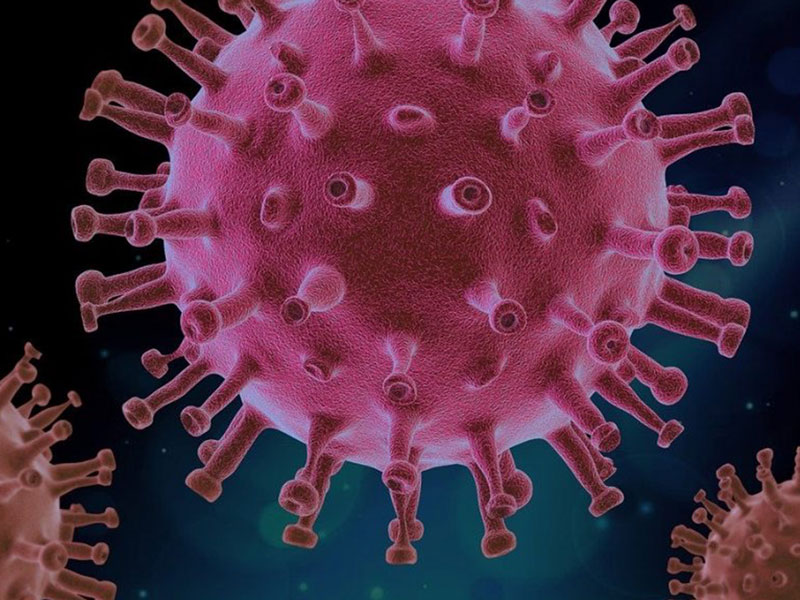 Bild på coronaviruset. FOTO: Pixabay.