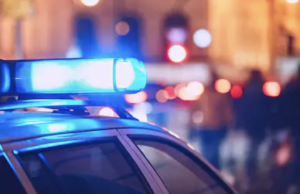 Polisen fick rycka ut efter larm om ett pågående inbrott.