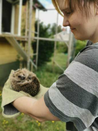 Intervjupersonen håller i en igelkott i händerna