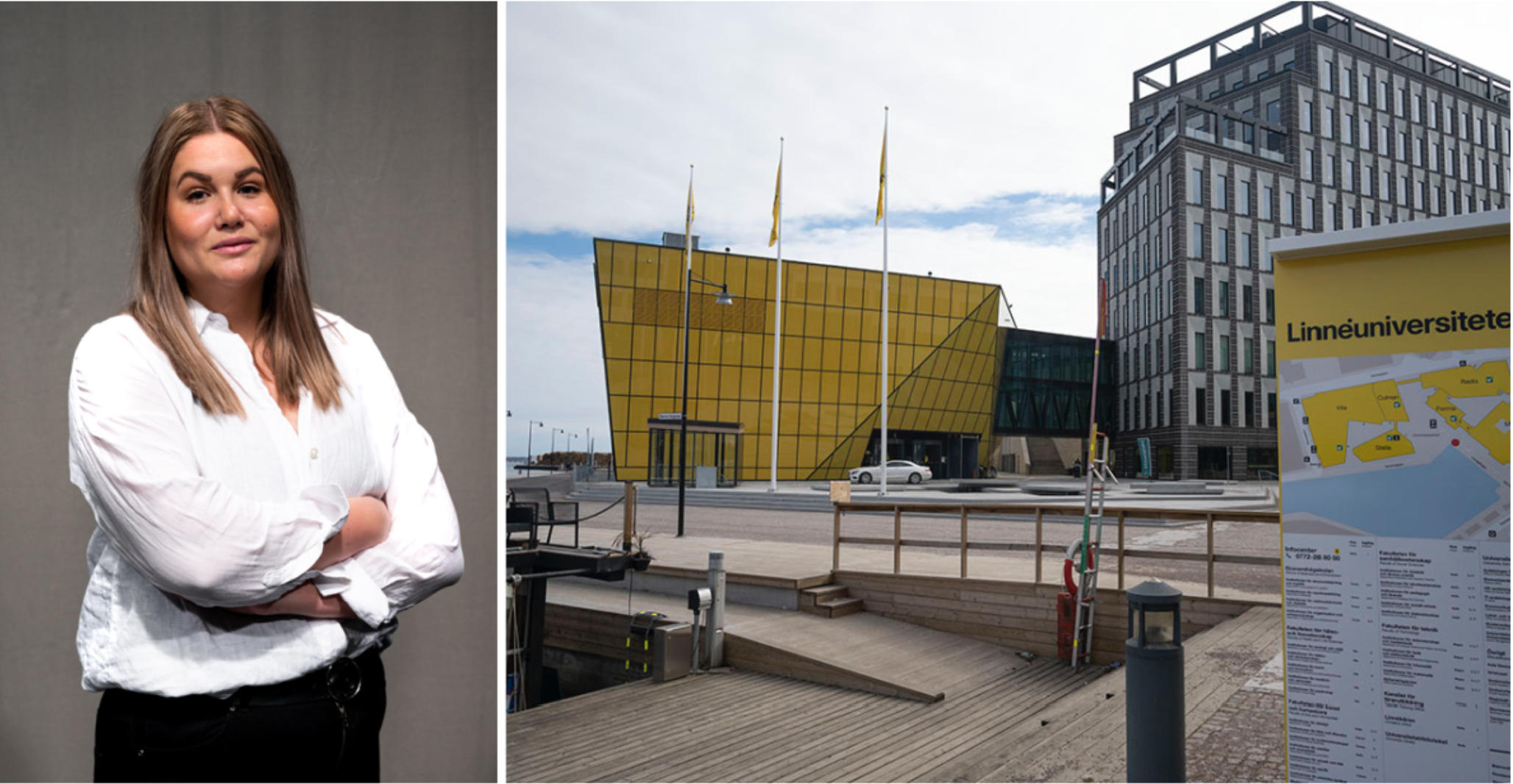 Bildcollage: skribent och Linnéuniversitetet