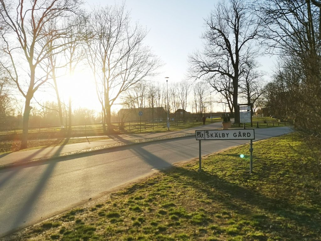 4H-gårdar är till för att lära barn om djur och natur.