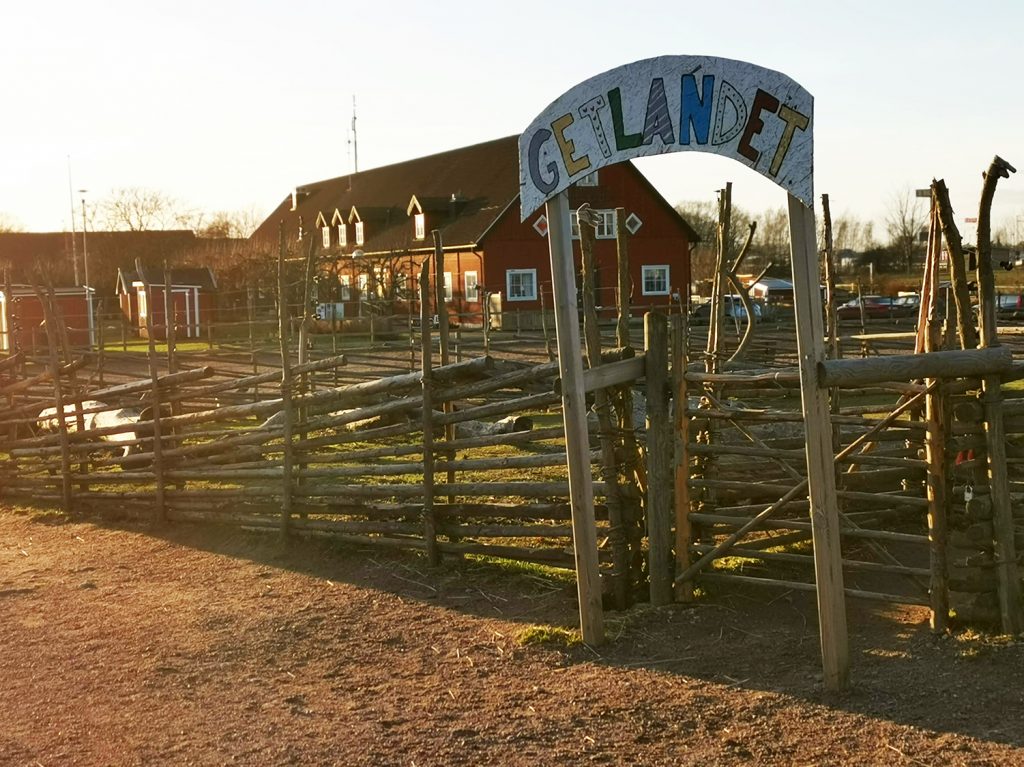 4H-gårdens hagar riskerar att drabbas av parasiter till följd av den milda vintern.