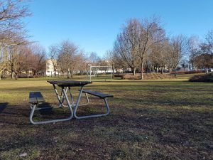 Stensbergsparken Foto: Ola Carlsson