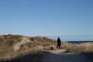 Bild på Böda strand.