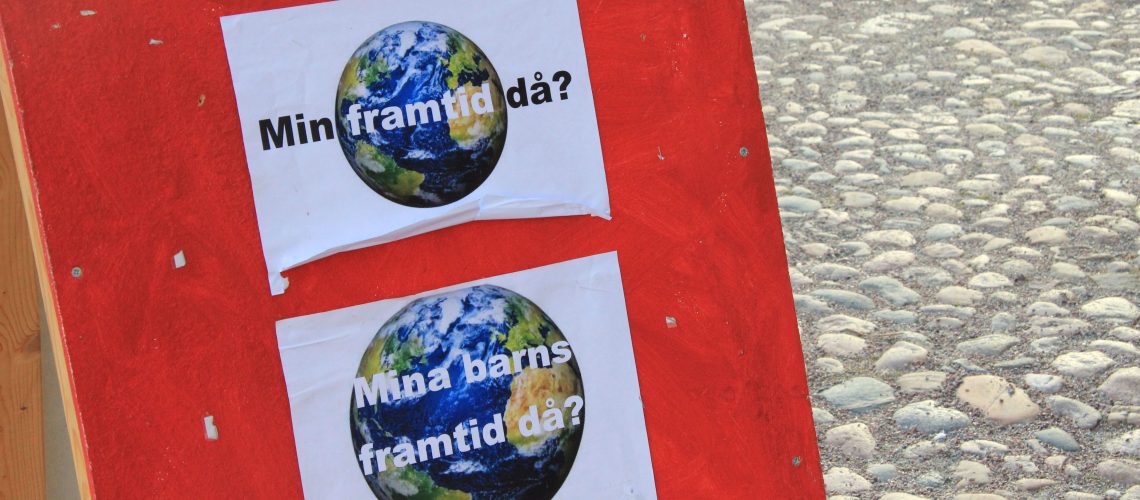 Bild på plakat från Fridays For Future