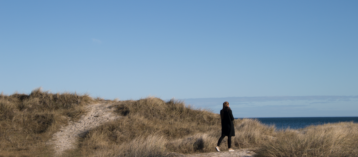 Bild på Böda strand.
