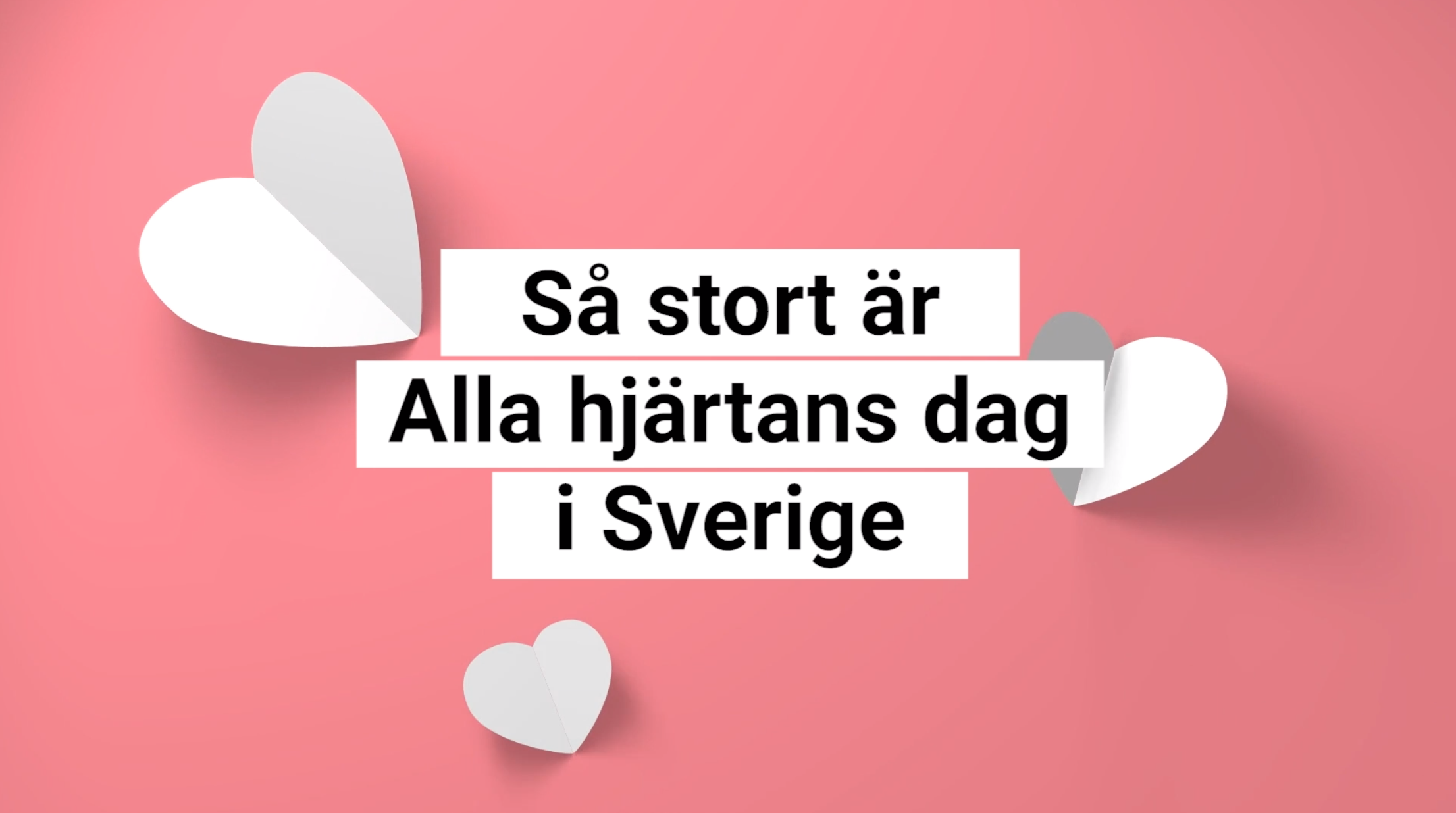 Rosa bakgrund med hjärtan i papper och texten Så stort är Alla hjärtans dag i Sverige.
