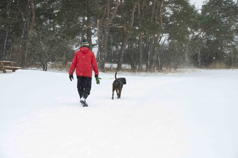 Hundägare ute och rastar hunden.