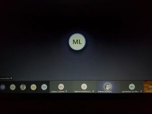 Bild på kommunfullmäktigemötet som var på distans