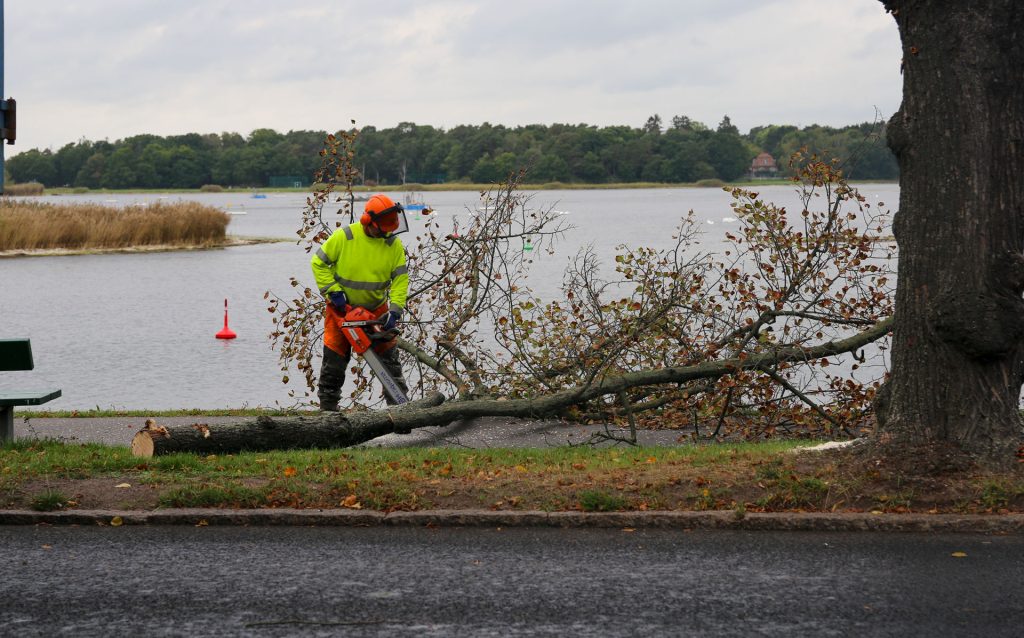 Kommunarbetare med motorsåg