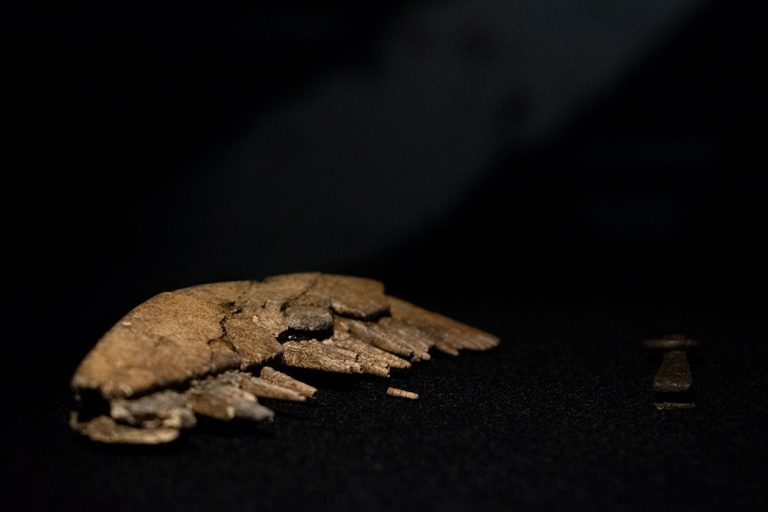 Ett fynd i form av en kam