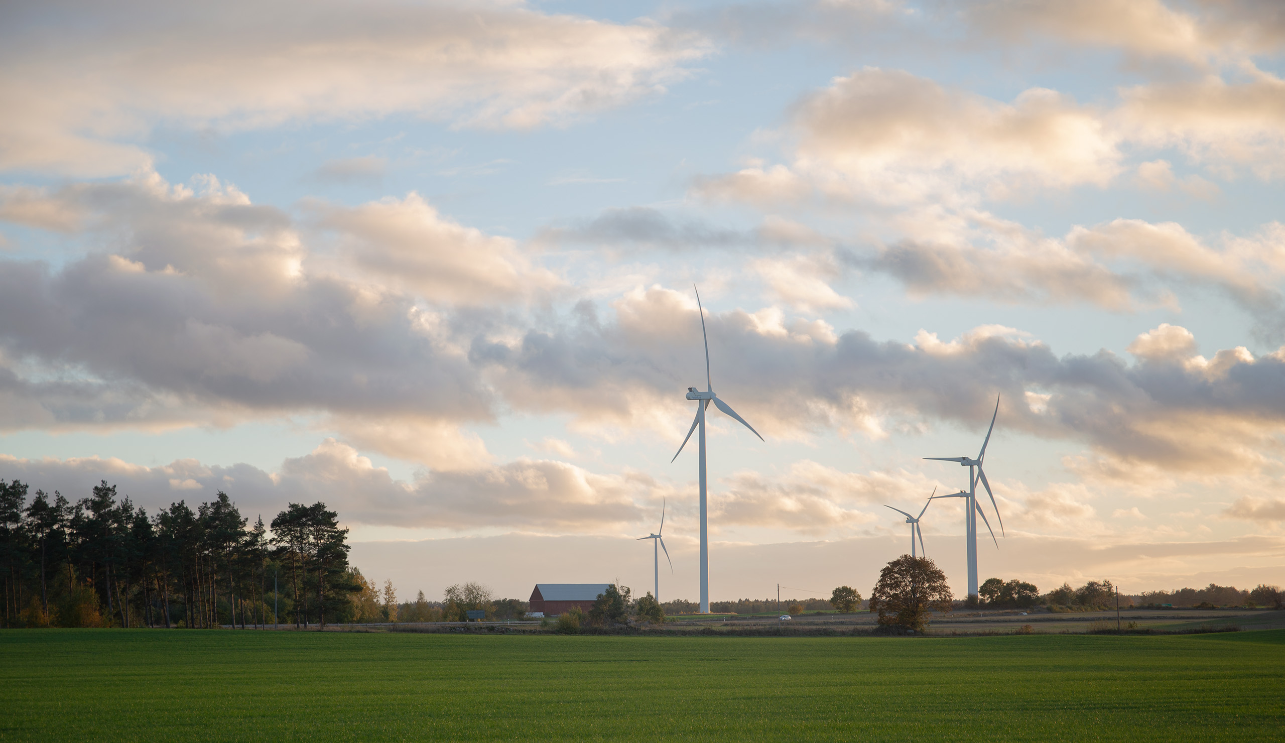 Flera vindkraftverk står ute på en åker