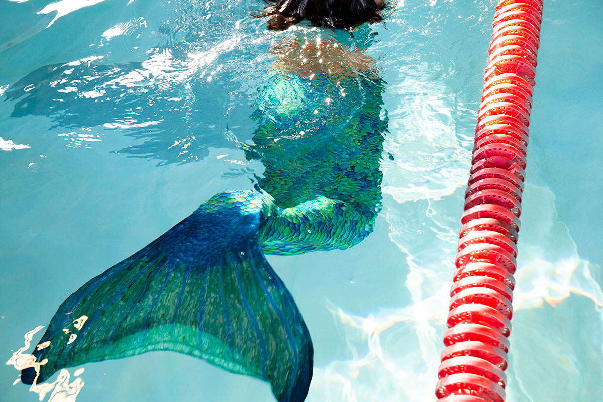 En blå-grön fena under vattenytan. Solskenet speglas ovanpå ytan.