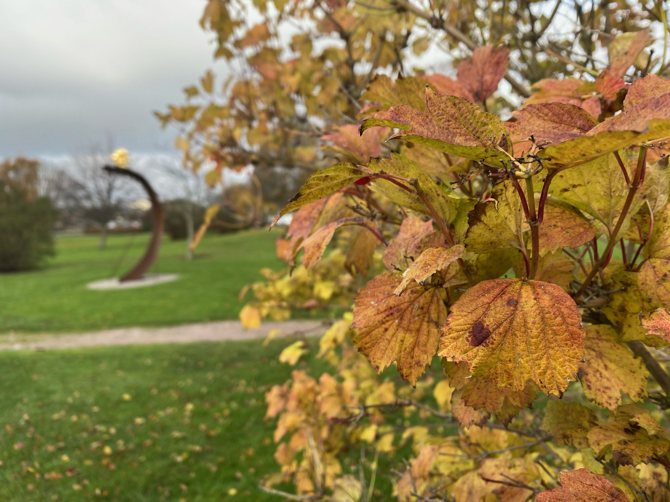 Löv framför en staty i en park