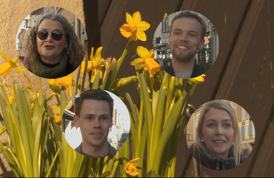 En bakgrundsbild med påskliljor på och fyra inklippta bilder på olika personer, två kvinnor och två män. Foto: Paula Svedere